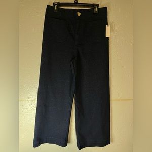 Maeve by Anthropologie navy blue sparkly pants